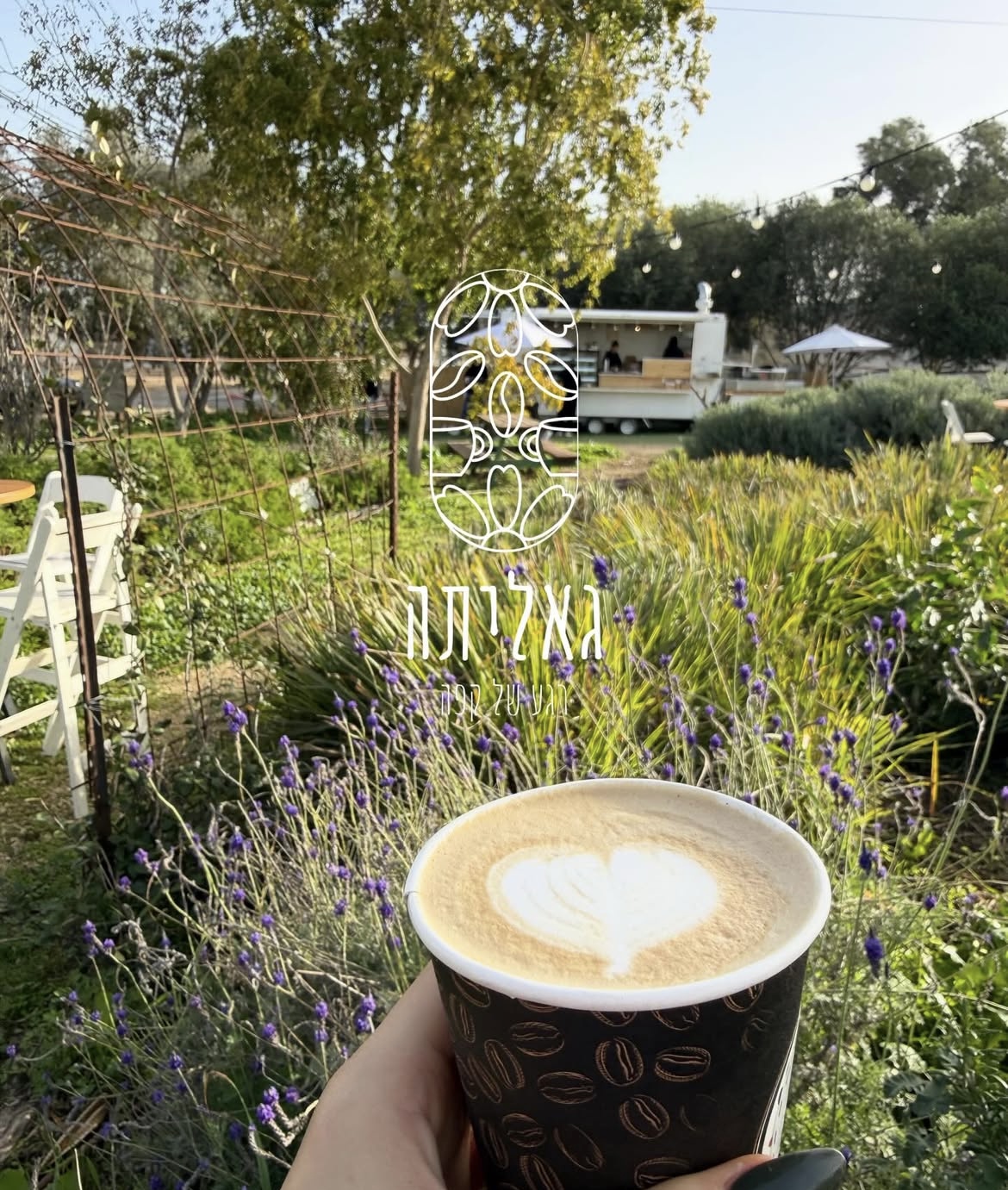 גאליתה